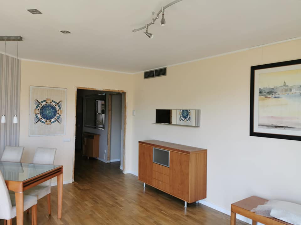 pintores profesionales